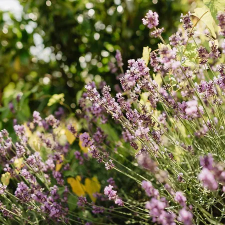 Appartementhaus Achmannhof *