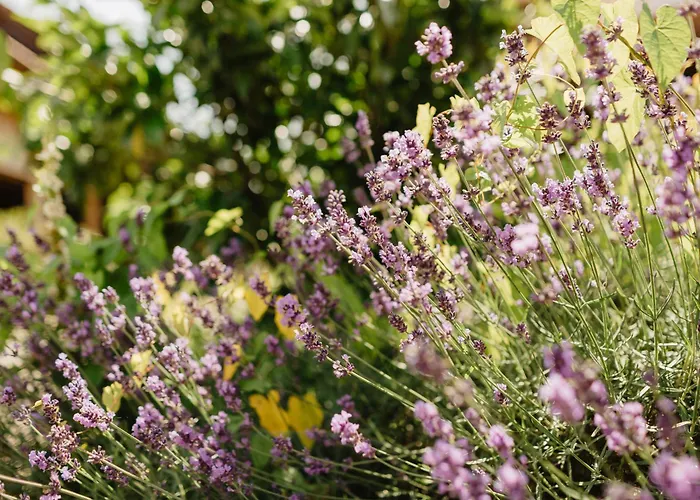 Appartementhaus Achmannhof *